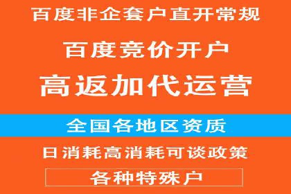 充值高返点背后的策略与技巧：案例分析